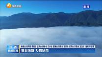 【大美陕西新画卷】夏日渐盛 万物欣荣