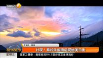 壮观！ 秦岭朱雀雨后现绝美日出