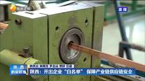 【统筹疫情防控和经济社会发展】陕西：开出企业“白名单” 保障产业链供应链安全