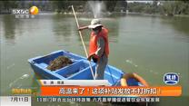 高温来了！这项补贴发放不打折扣！