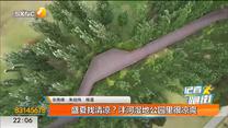 盛夏找清凉？沣河湿地公园里很凉爽