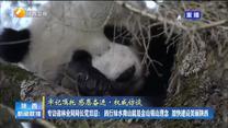 【牢记嘱托 感恩奋进 权威访谈】专访省林业局局长党双忍： 践行绿水青山就是金山银山理念 加快建设美丽陕西