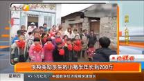 抢鲜看