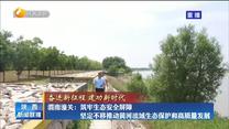 【奋进新征程 建功新时代】渭南潼关：筑牢生态安全屏障 坚定不移推动黄河流域生态保护和高质量发展