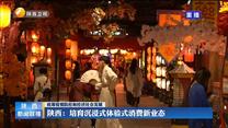 【统筹疫情防控和经济社会发展】陕西：培育沉浸式体验式消费新业态