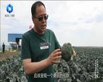 中國農資秀（2022-08-18）