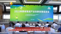 陕西省氢能产业创新发展促进会在西咸新区召开