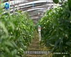 中國農資秀（2022-09-14）
