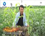 中國農資秀（2023-02-20）