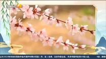 第一新闻午间播报 (2023-04-05)