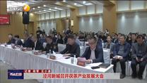 泾河新城召开茯茶产业发展大会