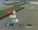 中国农资秀(2023-06-06)