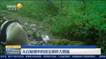 第一新闻午间播报（2023-08-16）