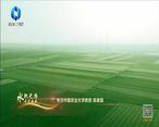中国农资秀 (2024-03-11)