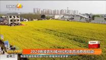 2024杨凌农科城马拉松体育消费月启动