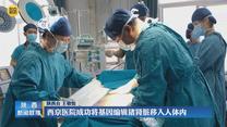 西京医院成功将基因编辑猪肾脏移入人体内