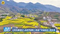 汉阴凤堰梯田入选世界灌溉工程遗产中国候选工程名单