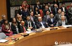 美国否决巴勒斯坦成为联合国正式成员国的申请