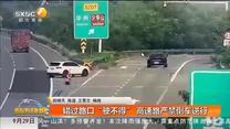 错过路口“驶不得” 高速路严禁倒车逆行