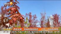 西安迎来“短袖夹棉袄模式”10月11日或有降雨