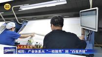 【奋进强国路 阔步新征程】咸阳：产业体系从“一枝独秀”到“百花齐放”