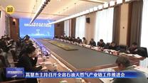 蒿慧杰主持召开全省石油天然气产业链工作推进会