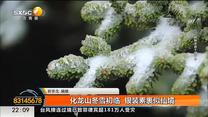 化龙山冬雪初临 银装素裹似仙境