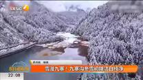 雪漫九寨！九寨沟冬雪初降洁自纯净