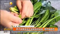 男子食用未焯水菠菜后肾衰竭 需终身血透