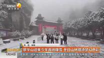 翠华山迎来今年首场降雪 冬日山林增添梦幻色彩