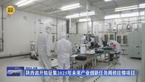 陕西省开始征集2025年未来产业创新任务揭榜挂帅项目