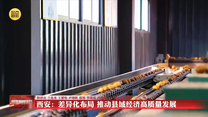 【奋发有为谱新篇】西安：差异化布局 推动县域经济高质量发展