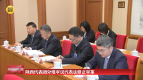 陕西代表团分组审议代表法修正草案