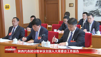 陕西代表团分组审议全国人大常委会工作报告