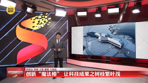 【康明看报告】创新“魔法棒” 让科技成果之树枝繁叶茂