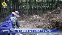 【三秦纵览】汉中：朱鹮繁育季 保护区打造“安心产房”