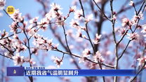 近期我省氣溫明顯回升