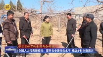 【学习宣传贯彻全国两会精神】全国人大代表姬桂玲：提升农业现代化水平 推动乡村全面振兴