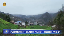 【第三批乡村振兴典型案例】安康岚皋枣树村：打造和美“小庭院” 绘就农旅“大画卷”