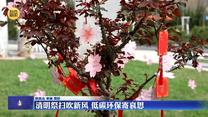 记者观察：清明祭扫吹新风 低碳环保寄哀思
