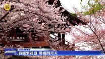 【大美陕西新画卷】春暖繁花盛 明媚四月天