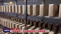 西咸新區(qū)：科技賦能茯茶產(chǎn)業(yè)煥新顏