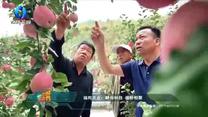 中国农资秀(2025-05-04)