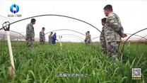 中国农资秀 (2025-05-05)