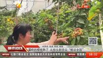 都市热线 (2025-05-08)