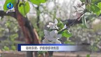 农村大市场 (2025-05-10)