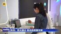 【在习近平新时代中国特色社会主义思想指引下】陕西：数实融合 驱动高质量发展