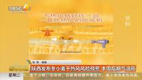 都市快报(2025-05-13)