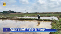 我省各地抗旱出“實招”用“智招”