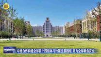 中德合作構建全球首個四倍體馬鈴薯泛基因組 助力全球糧食安全